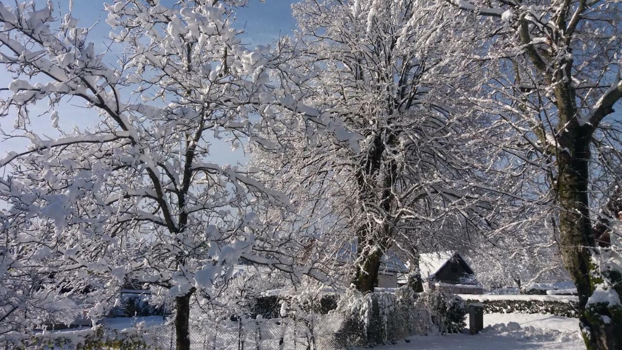 فندق House Nenad Plitvička Jezera المظهر الخارجي الصورة